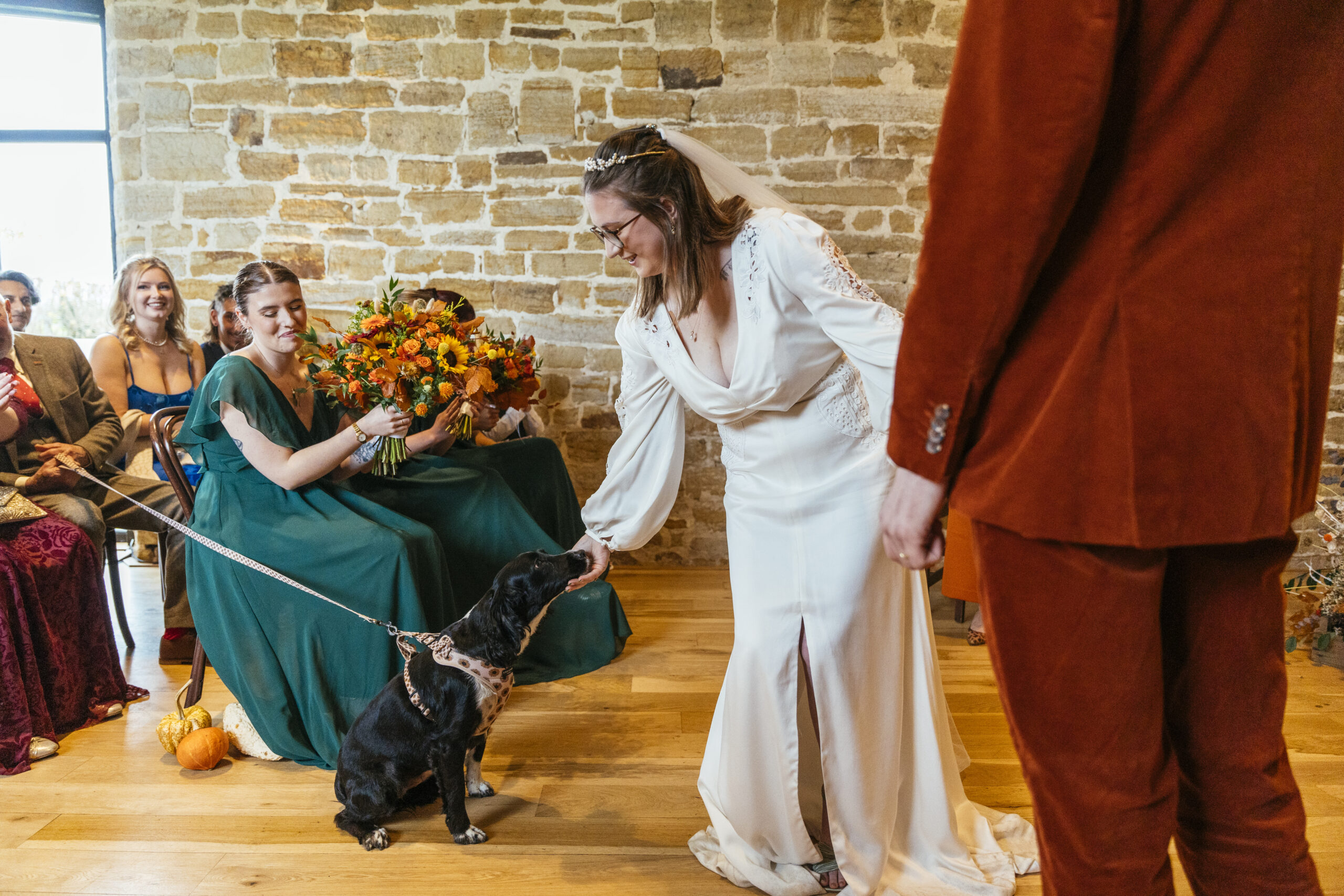 Pet Friendly Wedding