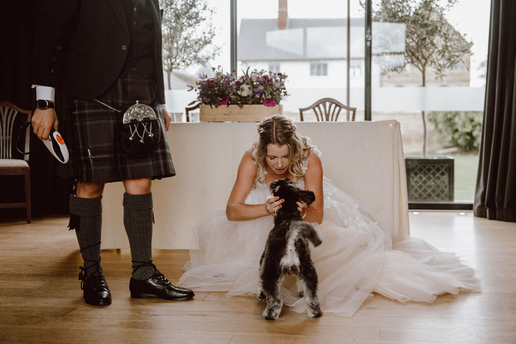 Pet friendly Wedding